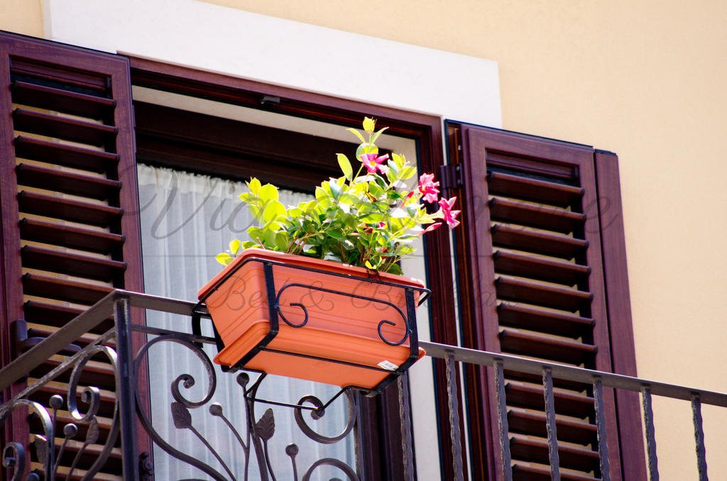 Viadelmare Rooms Monopoli Exterior photo